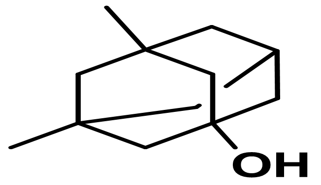 Memantine USP RC B / Memantine USP Related Compound B